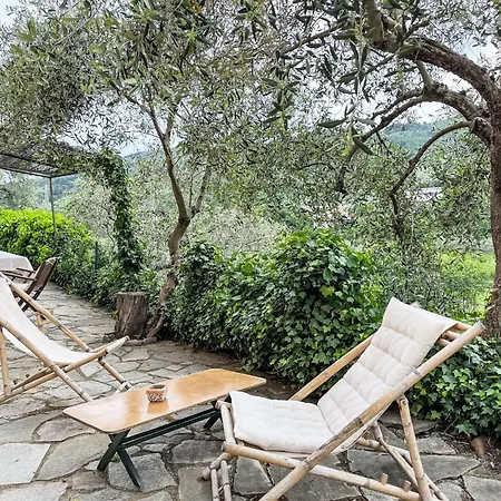 Apartment Nisso By Interhome Costa Carnara