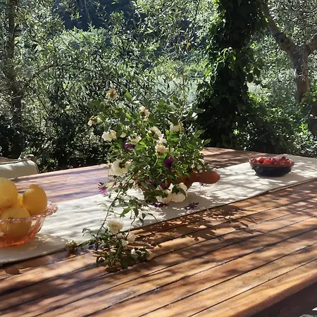 Nisso By Interhome * Costa Carnara