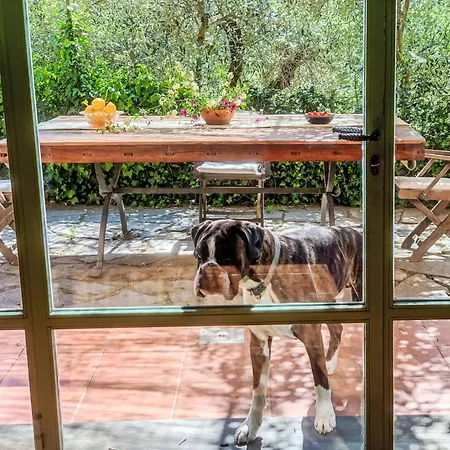 Nisso By Interhome Appartement Costa Carnara