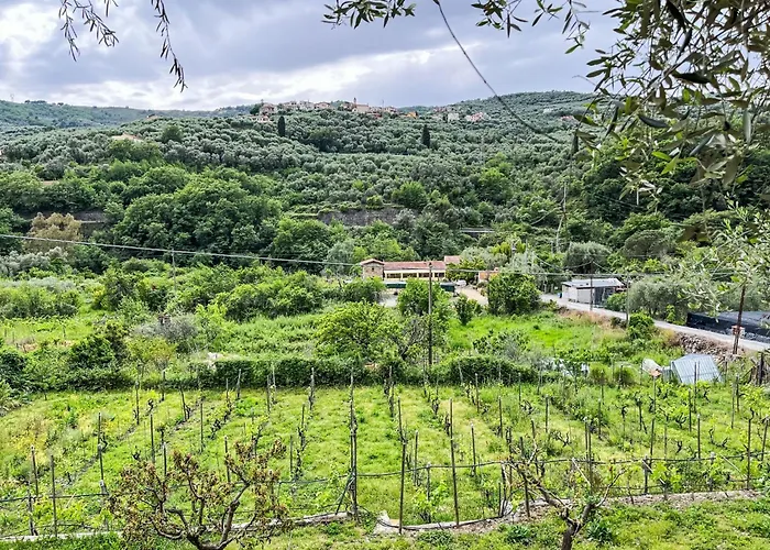 Apartment Nisso By Interhome *